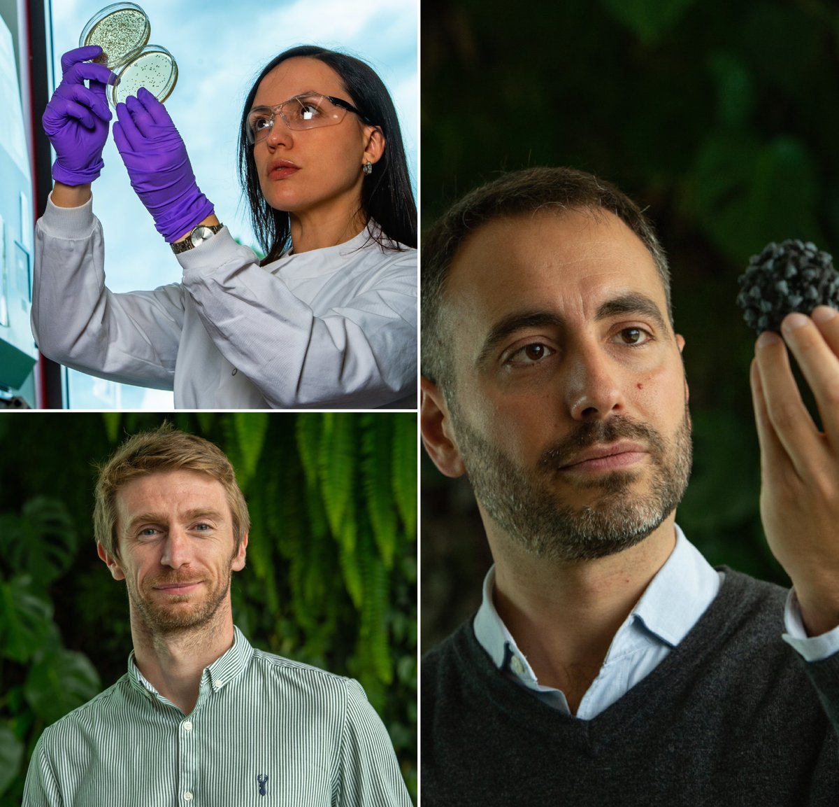 Ingenza Ltd (@ingenzaltd) on Twitter photo 📢RECRUITMENT! Our Senior Molecular Biologists would like to hear from anyone with experience in vector design, cloning & genetic engineering of yeast hosts such as Saccharomyces & Pichia🧬
Please send #CV, #applications to info@ingenza.com #jobs #Edinburgh #Science #STEM 🏴👩🏽🔬👨🏿🔬 📢RECRUITMENT! Our Senior Molecular Biologists would like to hear from anyone with experience in vector design, cloning & genetic engineering of yeast hosts such as Saccharomyces & Pichia🧬
Please send #CV, #applications to info@ingenza.com #jobs #Edinburgh #Science #STEM 🏴👩🏽🔬👨🏿🔬
