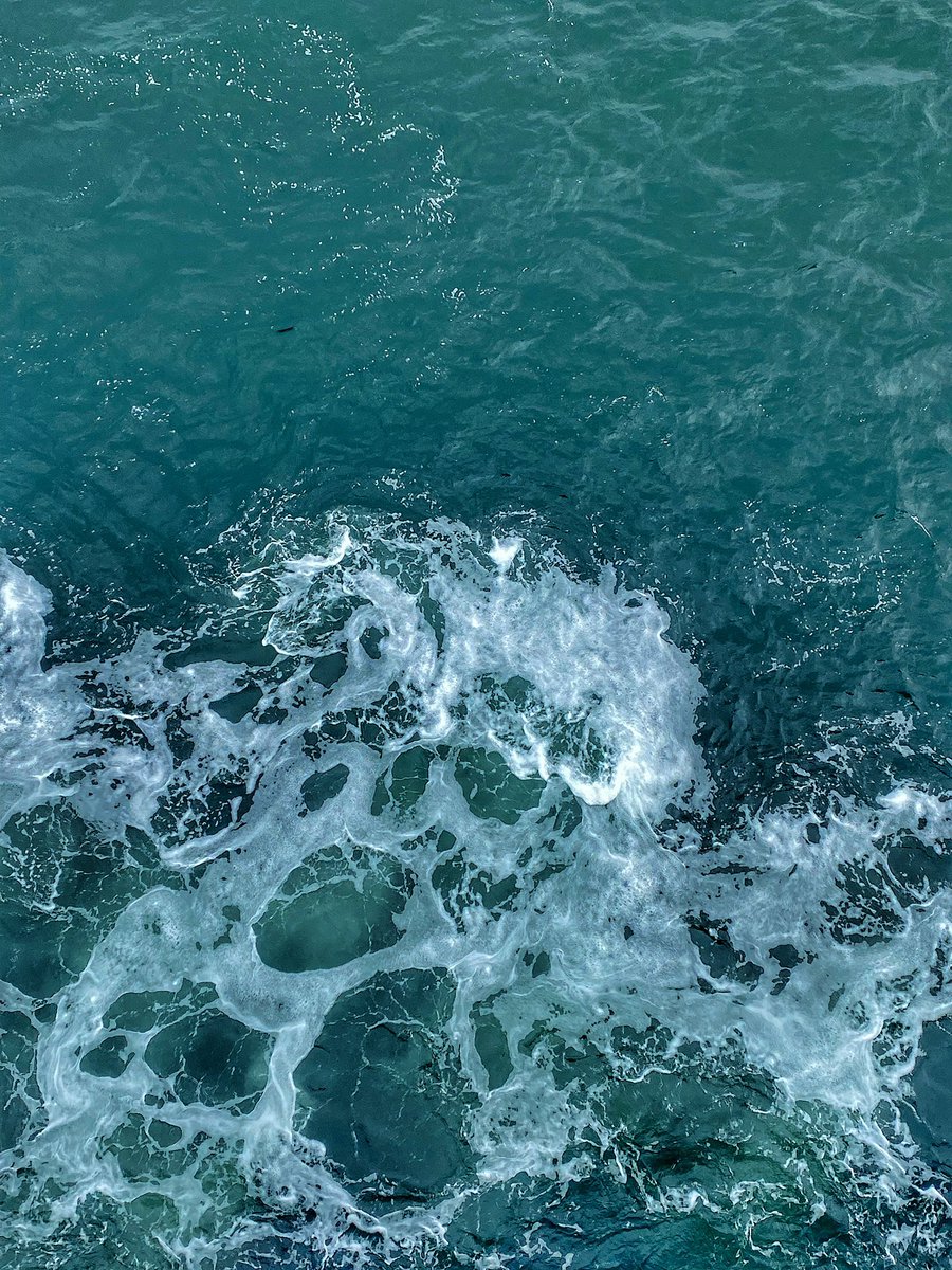 Eva Kopecká tweet media