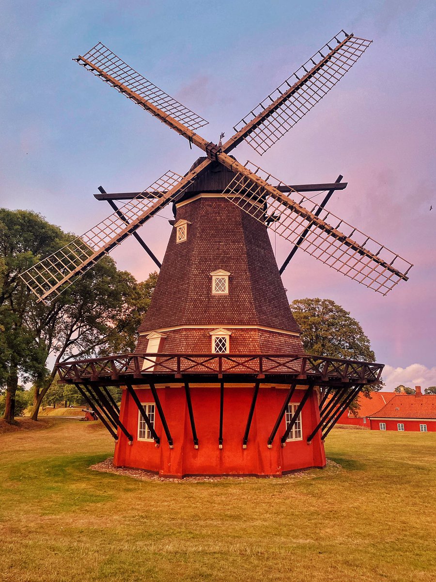 Eva Kopecká tweet media