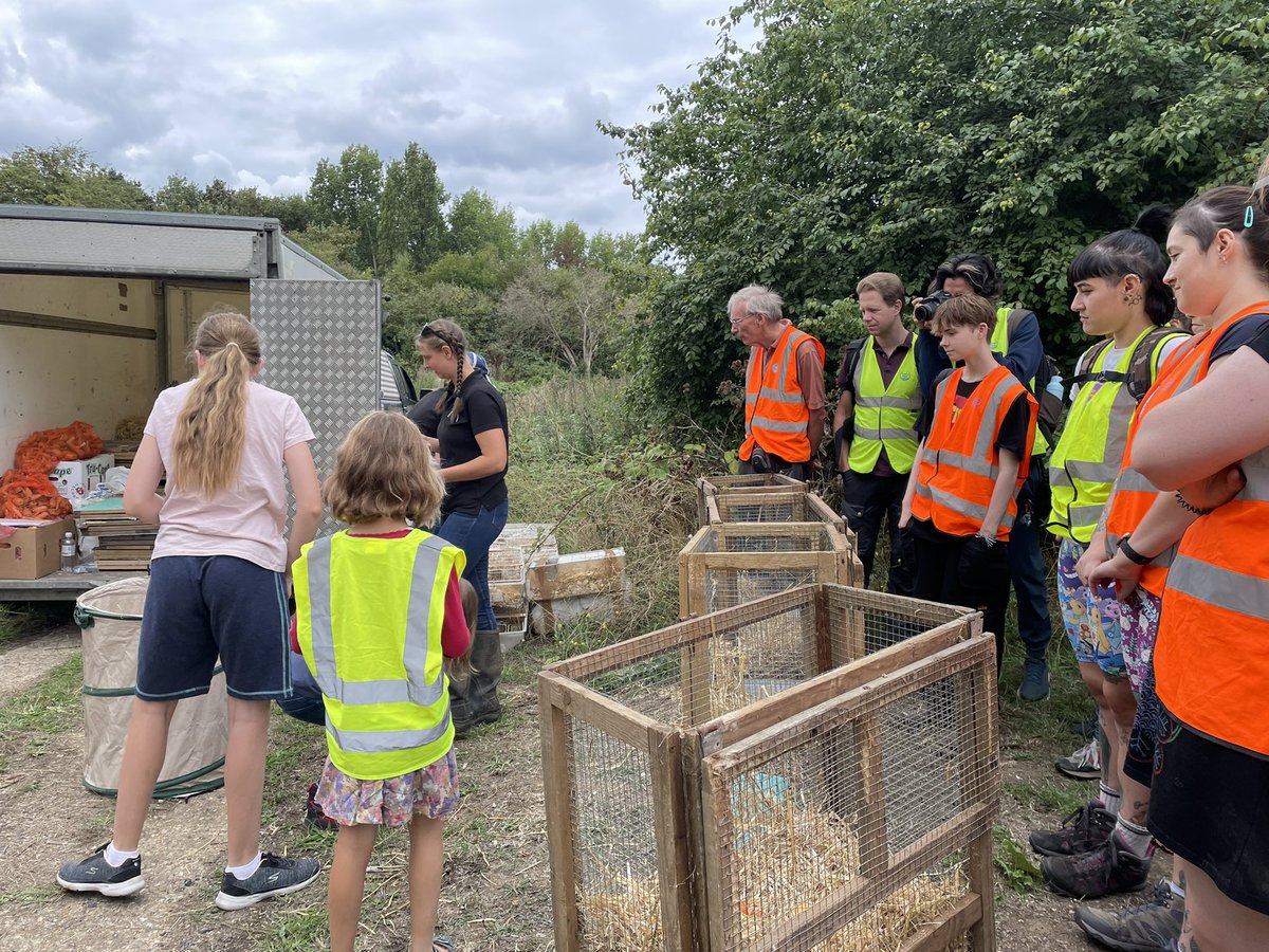 AmyJaneBeer's tweet photo. And on Monday, I went back, and this happened. Thanks to Elliott, his @CitizenZoo colleagues &amp; a wonderful group of local guardians, there are once again water voles on the Hogsmill. The world just got a little bit better. Congratulations to all involved. https://t.co/HNM8rUOAFb