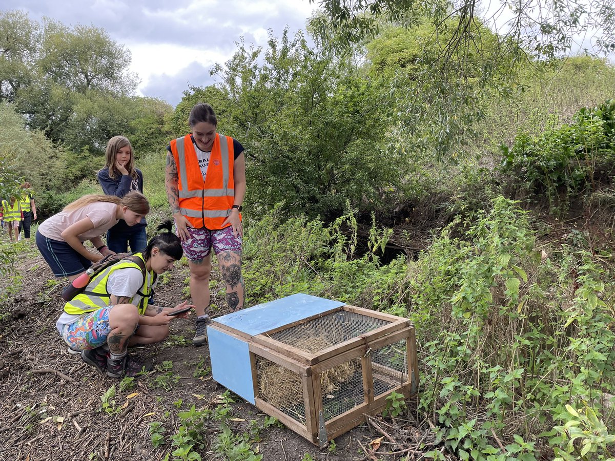 AmyJaneBeer's tweet photo. And on Monday, I went back, and this happened. Thanks to Elliott, his @CitizenZoo colleagues &amp; a wonderful group of local guardians, there are once again water voles on the Hogsmill. The world just got a little bit better. Congratulations to all involved. https://t.co/HNM8rUOAFb