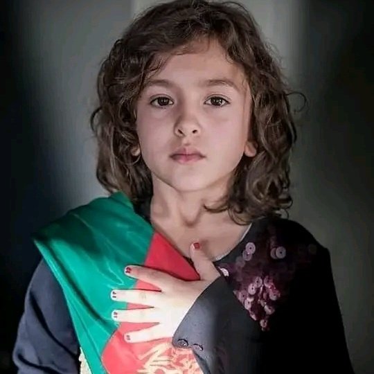 Sadat afghan 🇦🇫 tweet media