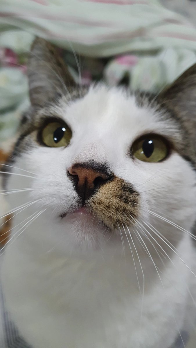 LIQUID | Kachan tweet media