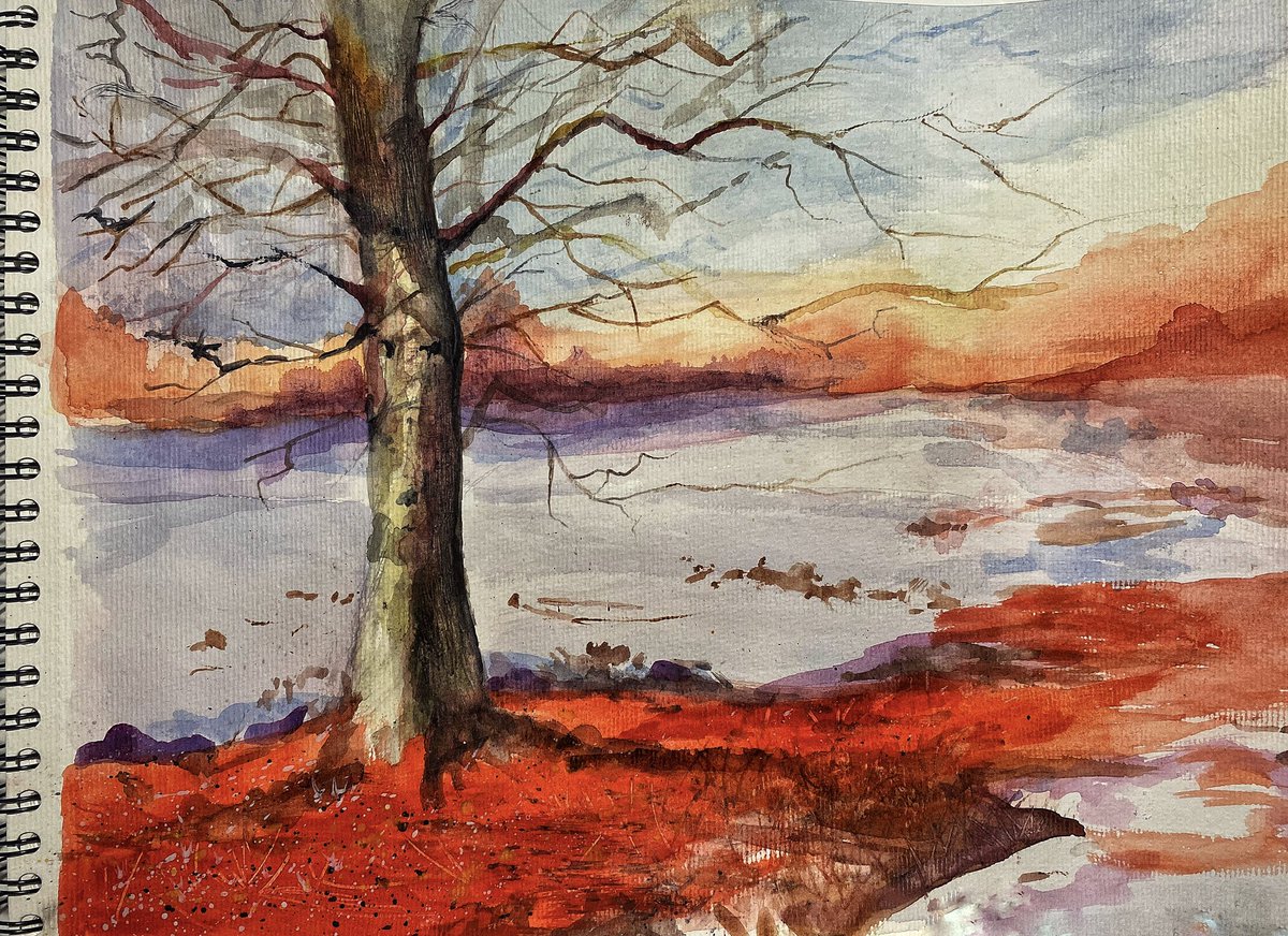 Eva Kopecká tweet media