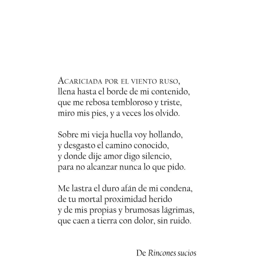 Ignacio Vleming tweet media