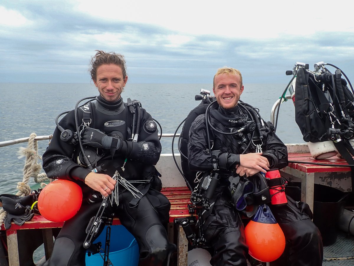 Supper chuffed at last week's PhD data collection!!! Collectively the dive team swam more than 2.6km and hand-cored 19 samples!!! Huge thanks to @HJNCatherall @petermalmond @hannahsearp @HattAinsley and @clare_fitz for solid work! @NCLDoveMarine