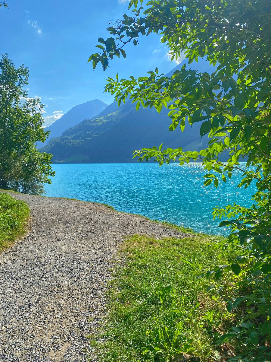 Eva Kopecká tweet media