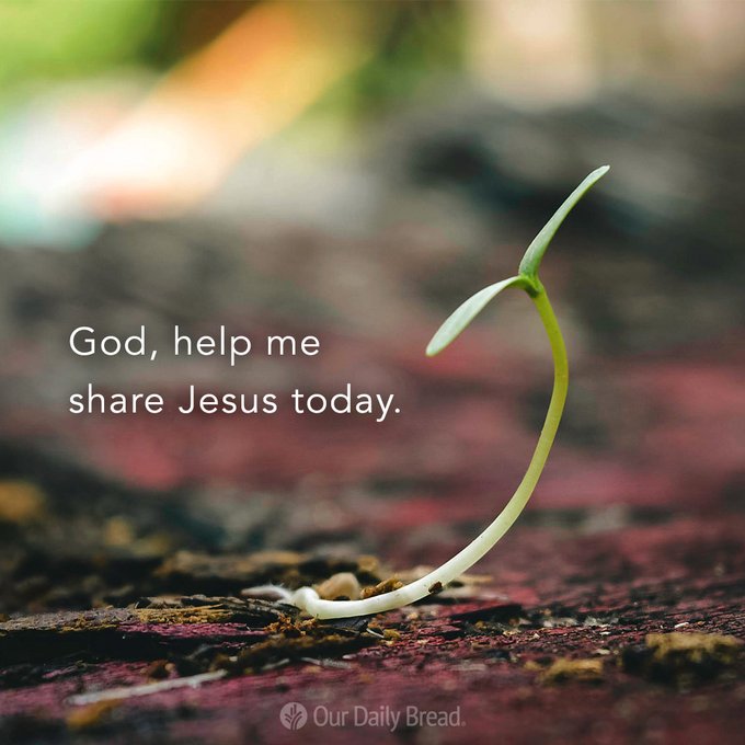 h_krawagna's tweet photo. ● #Seeds of Time | Our Daily Bread
Others, like seed sown on good soil, hear the word, accept it, and produce a crop.
Mark 4:20 / #Markus4:20
https://t.co/blLUeSsdtJ https://t.co/RUbQyirUBD