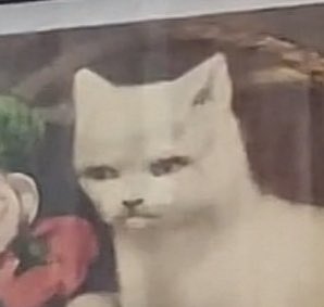 DocteurOuste's tweet image. Quand tous les collègues qui te croisent depuis le matin te sortent le même "Ah mais t'es encore là ? T'es encore pas en vacances ?"
#memecredi #oskour