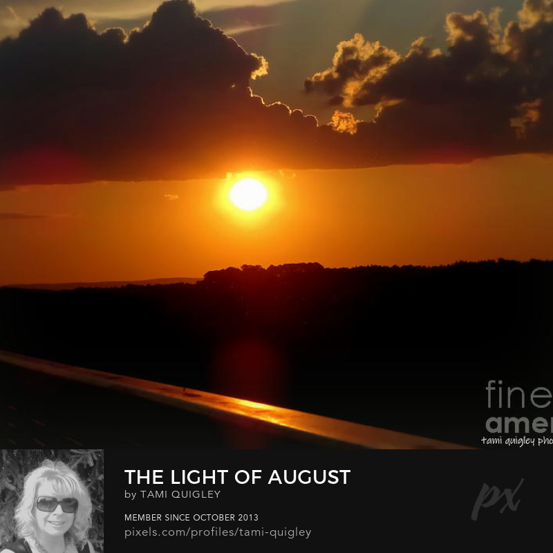 tamitrailscapes's tweet photo. The Light Of August https://t.co/niYJu55cP8 #August2022 #summer #sunset #art #giftidea #wallart #homedecor #officedecor #metalprint #canvasprints #ArtPrint #goldenhour #artistsoninstagram #PASummerDays #LehighValley #TrexlerNaturePreserve #sunsetphotography #sunsets #Summer2022 https://t.co/9Pwreq8P6d