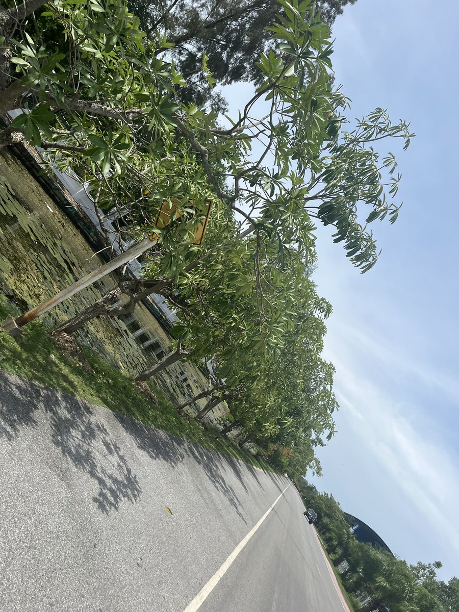 bangpolis1's tweet photo. ขับไปเรื่อยๆ ปัตตานี หลังสวน https://t.co/FZmXm9L1J5