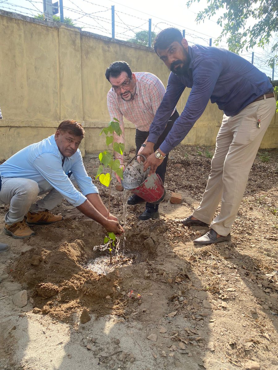fcibathinda's tweet photo. Special plantation drive was organised at FSD Bathinda on 30.08.2022. By Divisional Manager Samar Verma Sir and FSD Staff.
@FCI_PUNJAB @FCI_India @Agriculturehry https://t.co/xYojpCXpoQ