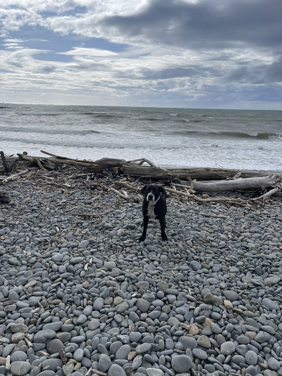 Jack Steer tweet media