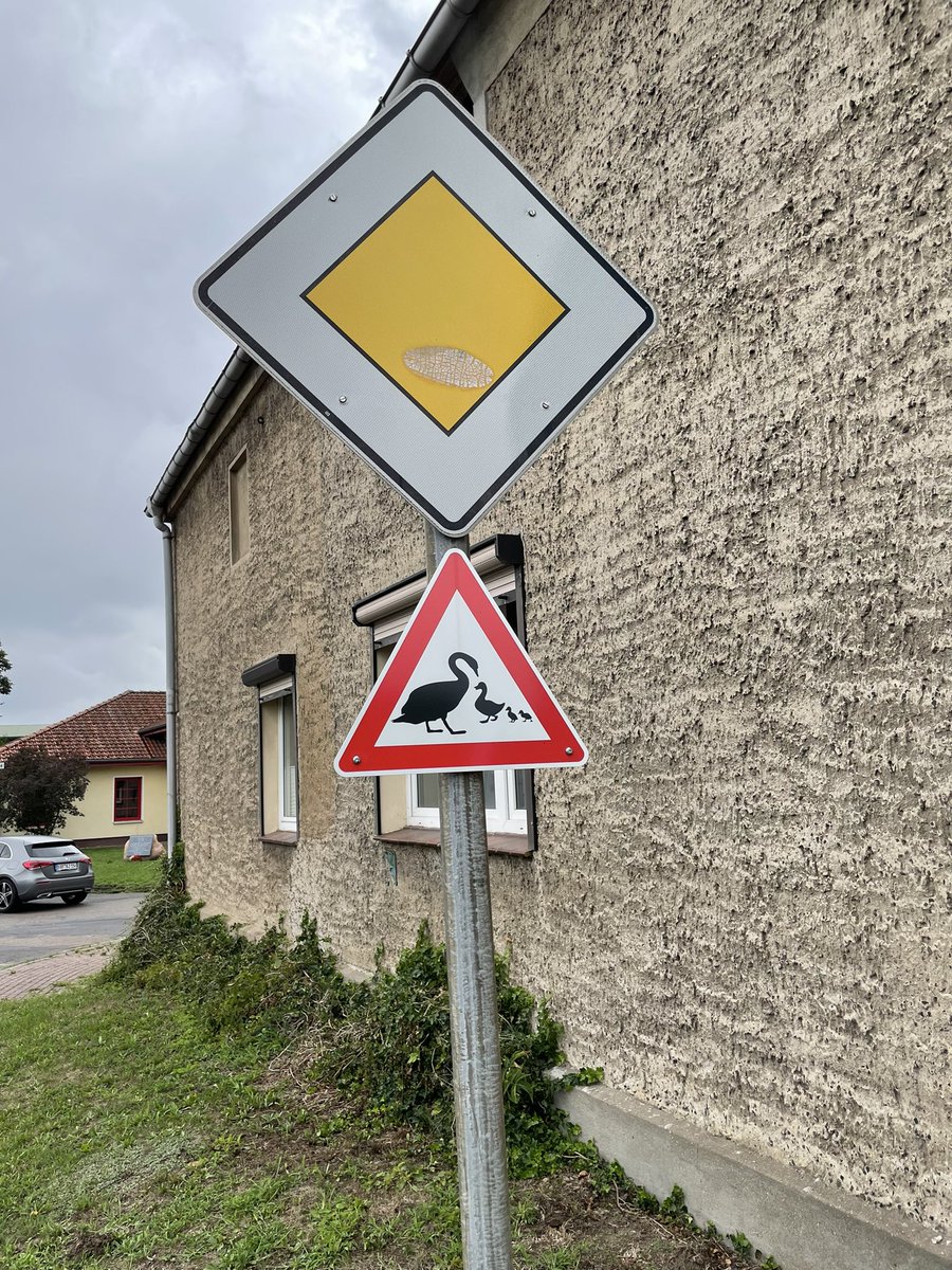 Motivation des Tages 🥳. Guckt mal <a href="/Spatzengepiepe/">Spatzengezwitscher</a> <a href="/_never_gr0w_up/">M͙e͙r͙i͙d͙a͙ 𝄞</a>