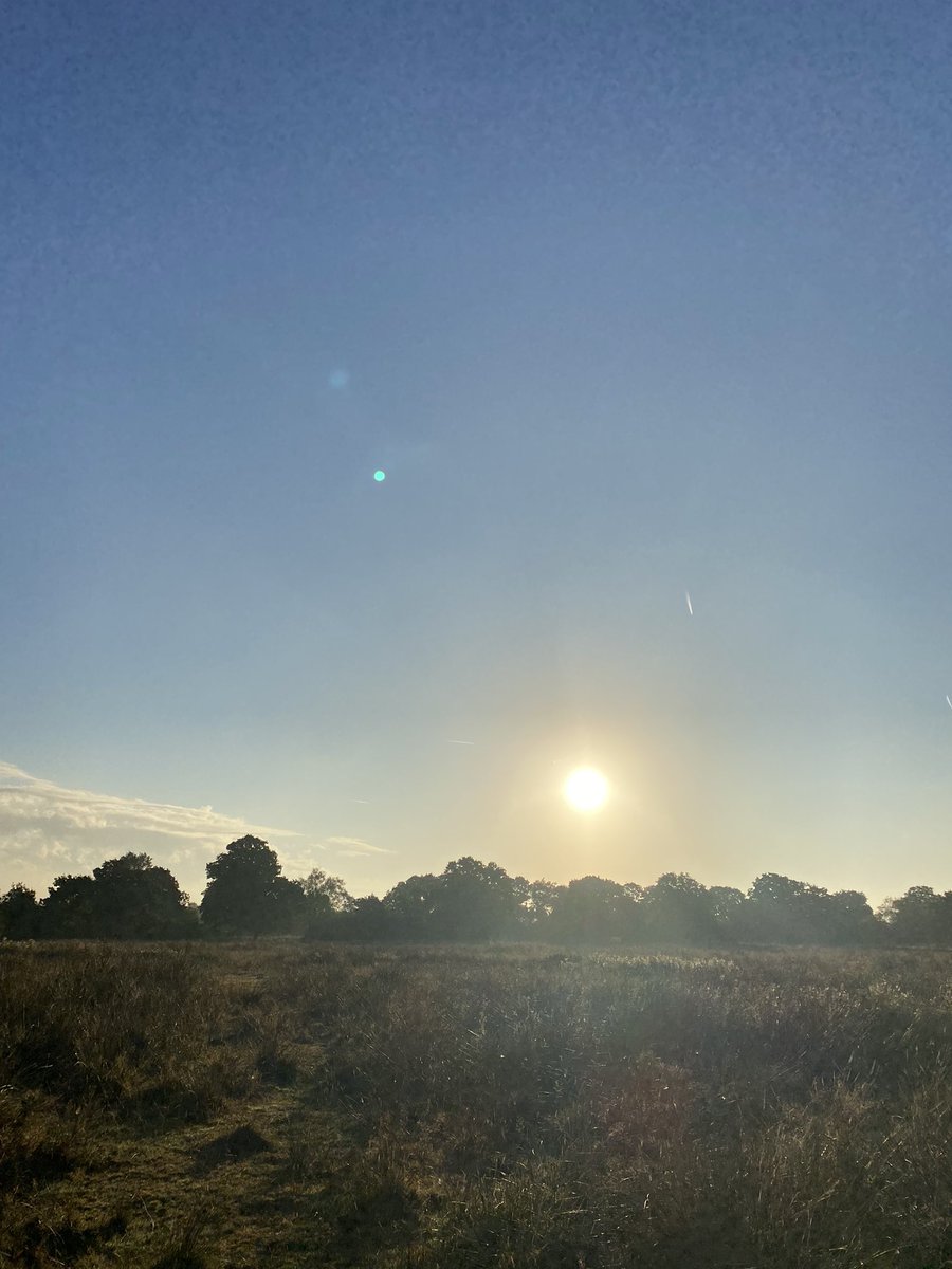 Pete Gavan tweet media