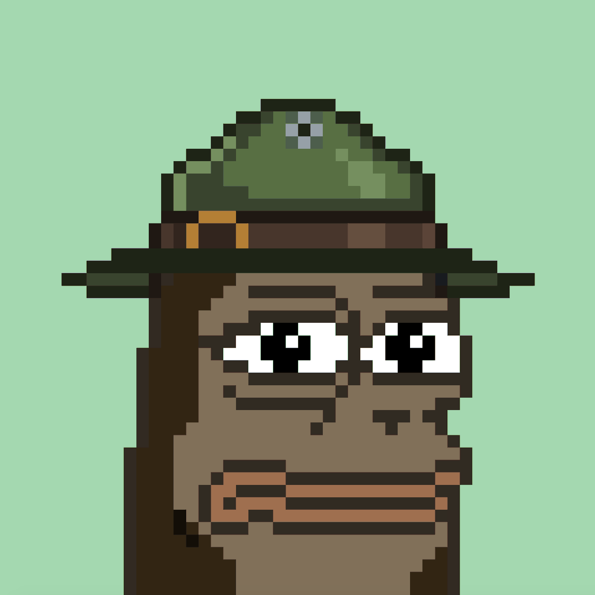 datVaultART's tweet photo. We like the 100% on-chain projects, today we added the fully on-chain @proofofpepe #2754 to the collection. https://t.co/wLwSqoGkpR