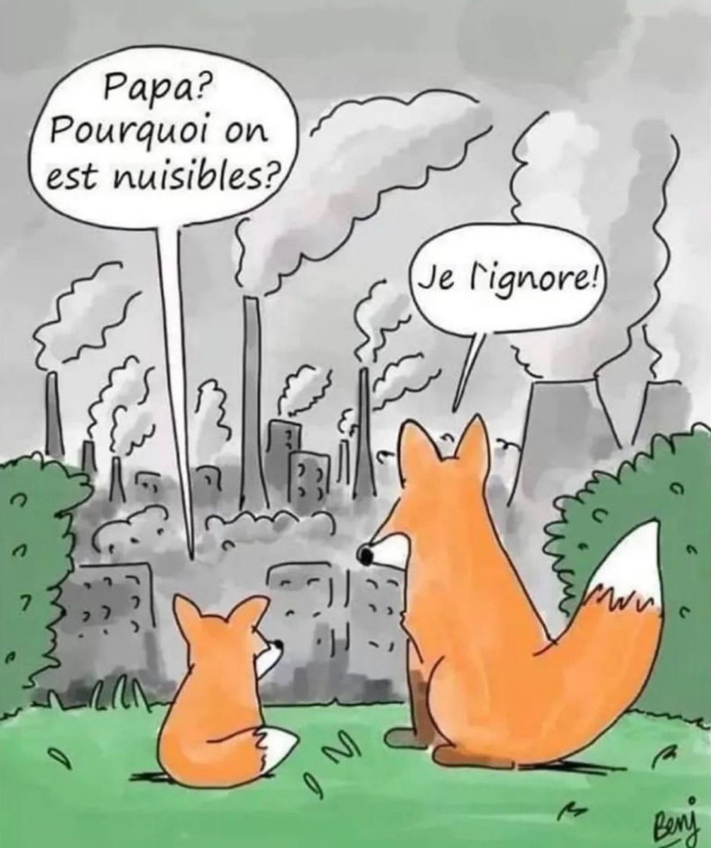 “Daddy, why are we pest?”
“No idea!”