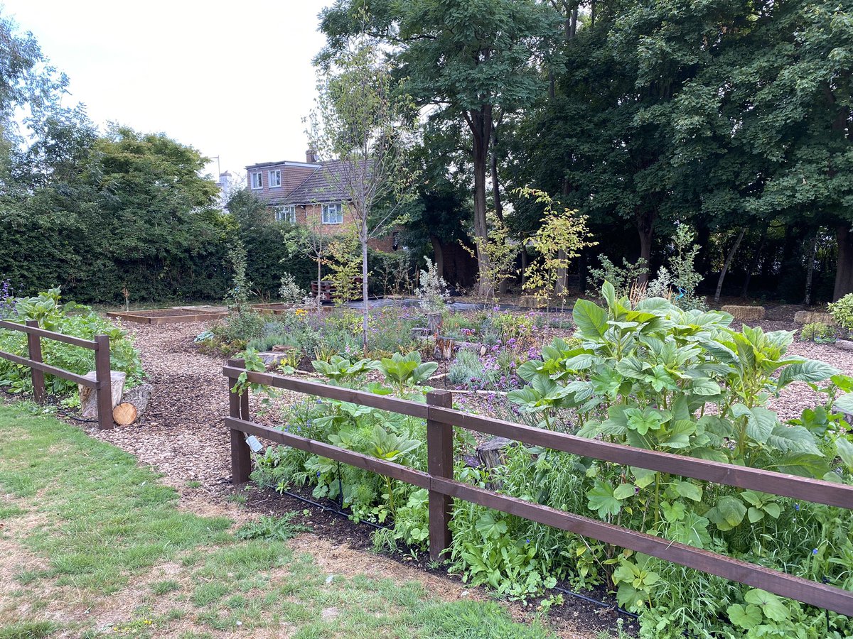 St Michael's Woolmer Green tweet media