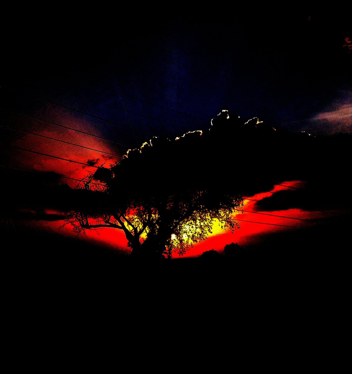 DevilsPlanet1's tweet photo. What about this sunset 
#nft #nfts #nftcollector #nftgaming #nftdrop #nftdrops #NFTCommunity #NFTJapan #nftproject https://t.co/OJMsQeY6fy