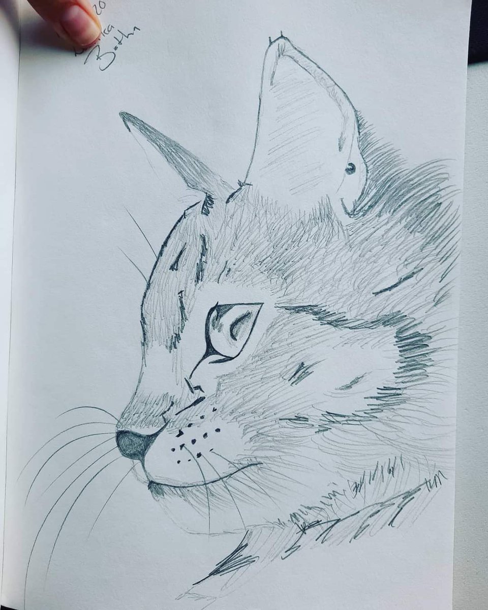 UIuI_CryptO's tweet photo. My entery  😝 
#CatsNeverland
#💥│fanarts https://t.co/XmbSnrf9k7