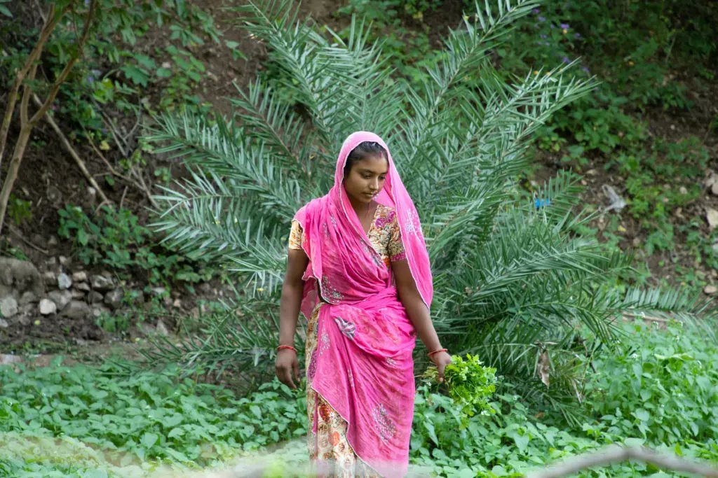 IFDCAsia's tweet photo. Since the inception of #AFIProject, we've honored women participation in #Agriculture. We've empowered community with special emphasis on #gender &amp; #youth by providing training &amp; advisory services for #CapacityBuilding

Eliminating #GenderDisparities! : https://t.co/tuUIF5L5os https://t.co/3lFpQqigPA
