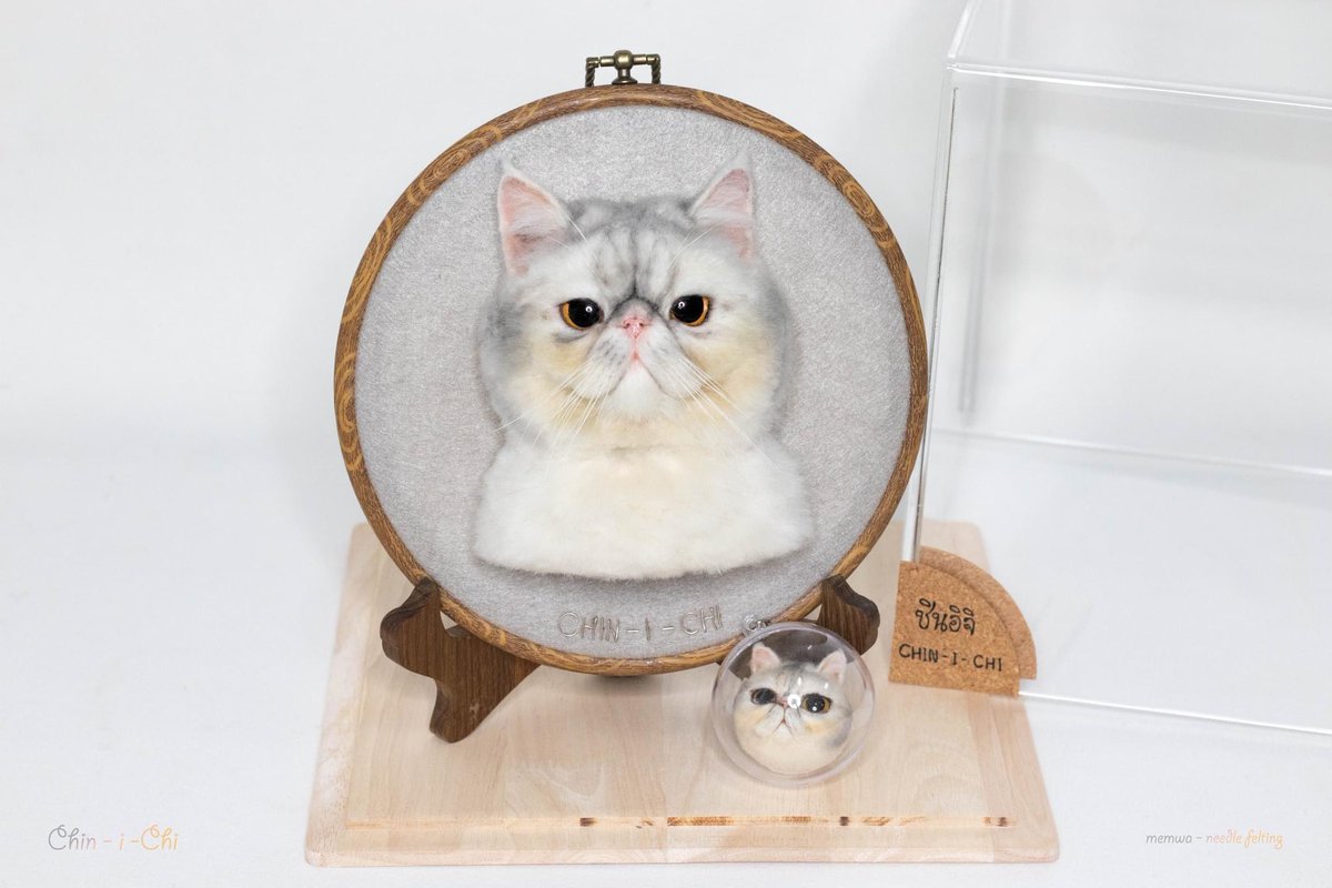 memwa_handmade's tweet photo. ❤️
#catlover #portraitcat https://t.co/sadKxpHAsq
