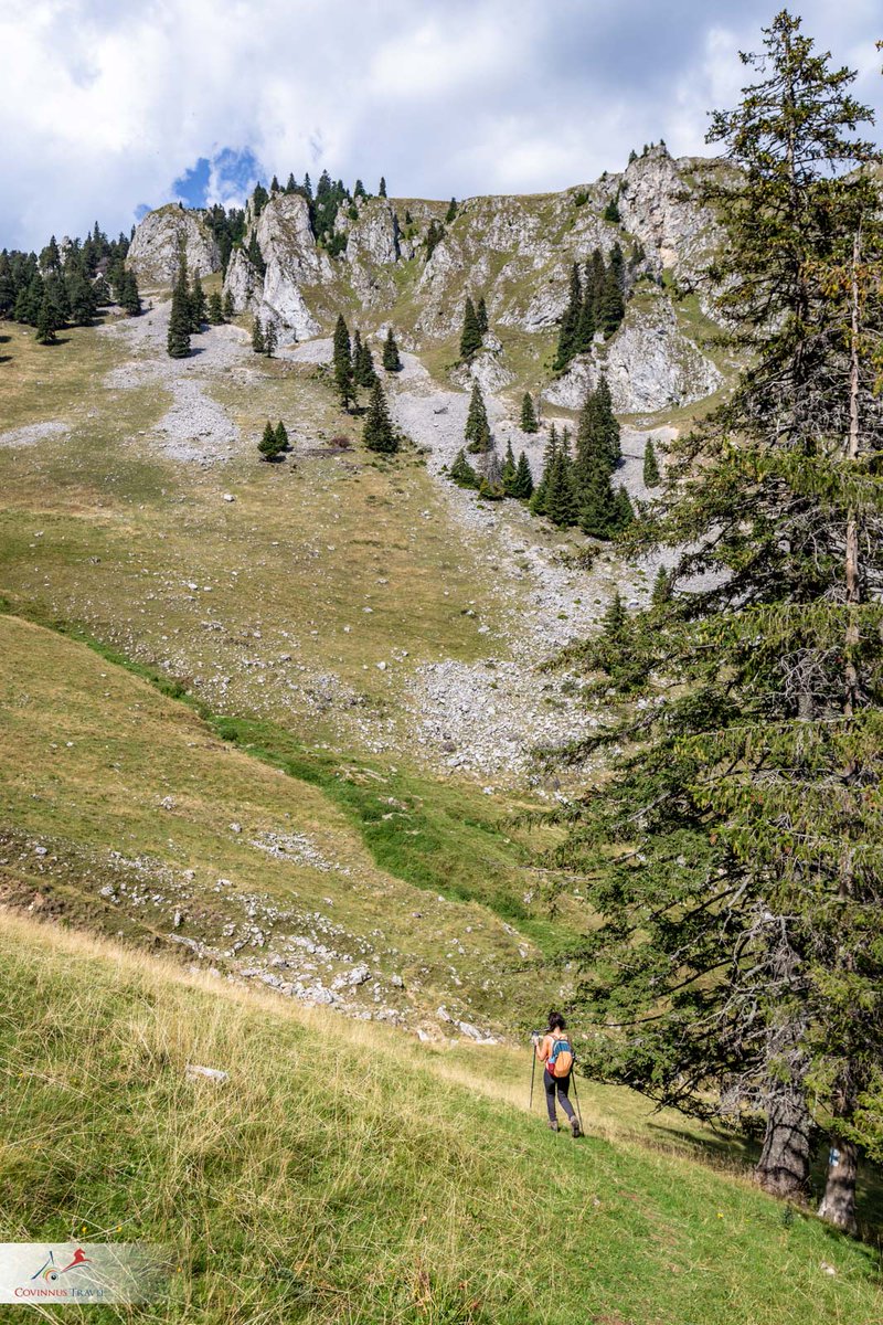 covinnus's tweet photo. Excellent #hiking #trip in the #Carpathian #Mountains.

#tours #Romania #travel #toursofRomania #outdoor #CovinnusTravel #nature #phototours #photography #summer https://t.co/uhUnXVVb97