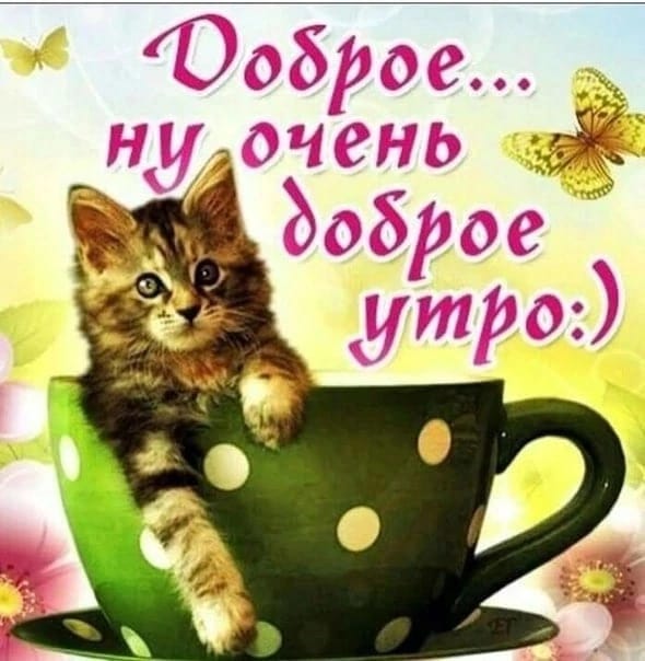 С добрым утром, друзья!!!