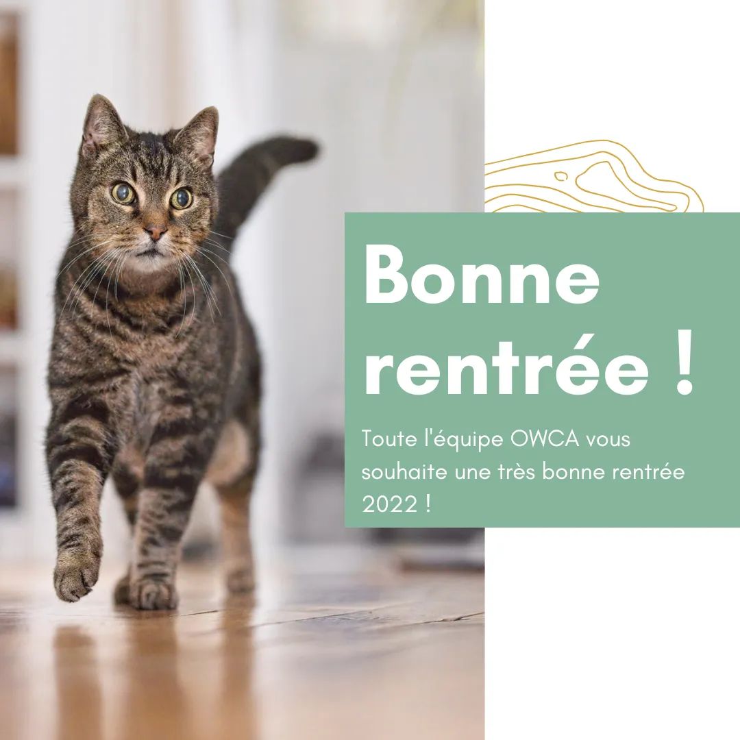 Association Owca tweet media