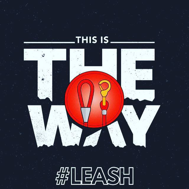 Mazrael_shib's tweet photo. @Bluebit_io #SHIBARMY #SHIBARMYSTRONG $Shib $Leash $Bone

107k tokens. Utility in P2E game Shiba Eternity and Shib: The Metaverse created by triple A studios that worked with Disney and +

These are just two of the utilities in line for Leash!

This is the way!

@SHIBQueenie @shibainuart https://t.co/PUCU2W2j8w
