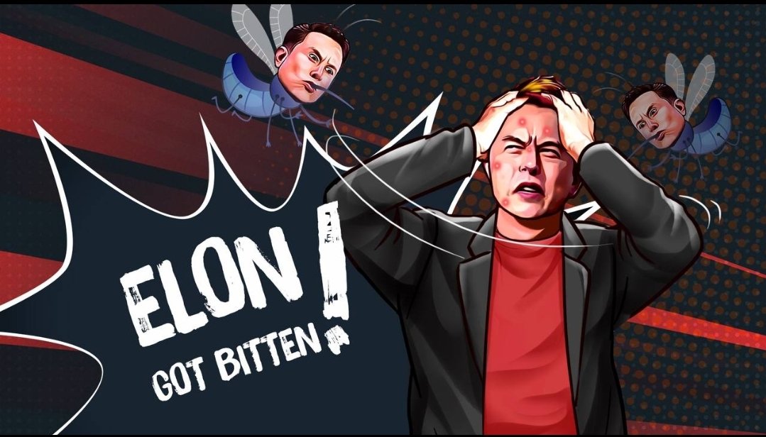Musk Ito tweet media