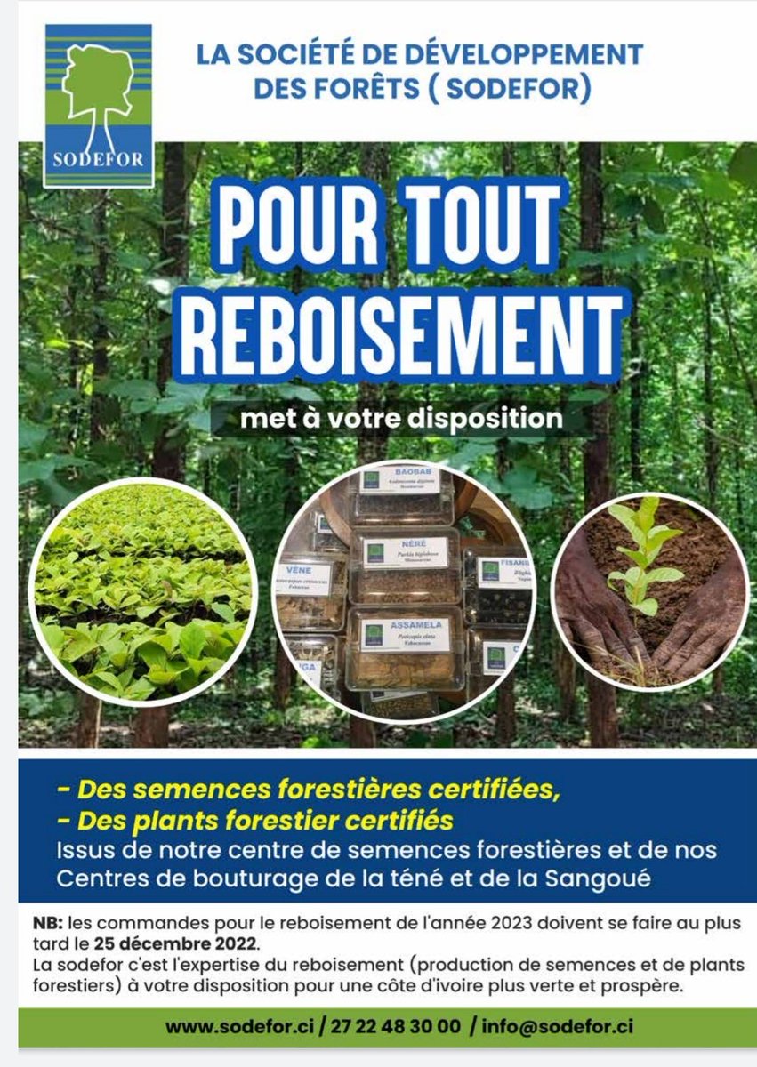 SODEFOR22's tweet image. Pour un projet de reboisement en 2023, il faut se préparer maintenant.
@SODEFOR22 @UNFCCC @FondationYes @FAOCotedIvoire @pnudcotedivoire @dimbobin