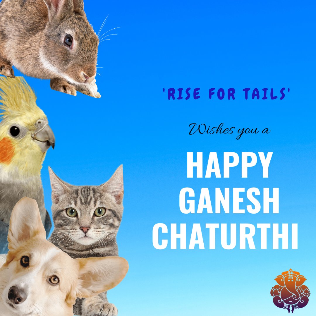 RiseTails's tweet photo. Wishing you a 'Happy Ganesh Chaturthi' from the entire team of 'Rise For Tails' ❣️🐘
...
#RiseForTails #HappyGaneshChaturthi #Nagpur #NGOs #rehabilitation #AnimalRights #love #Celebration https://t.co/K5vjfzvHTF