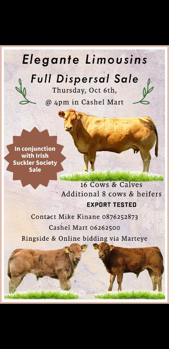 Mike Kinane tweet media