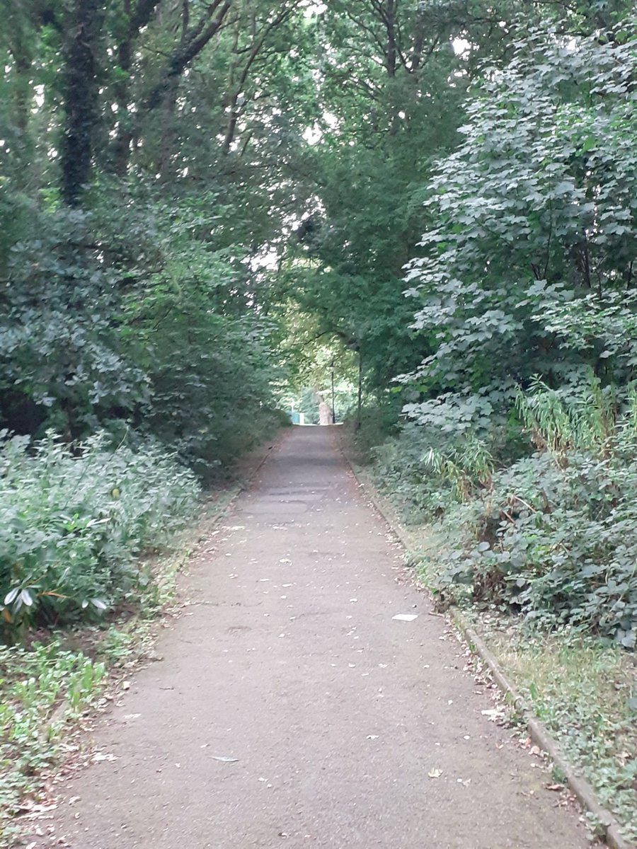 JulieRCMWales's tweet image. Wellbeing Wednesday morning walk Day 9 of #100dayplan  #thinkingtime #midweekmotivation