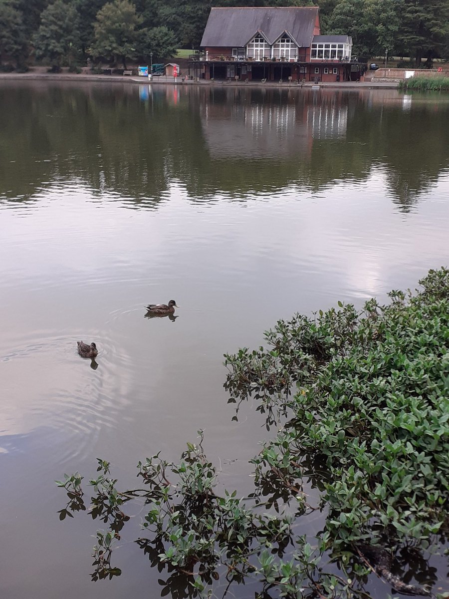 JulieRCMWales's tweet image. Wellbeing Wednesday morning walk Day 9 of #100dayplan  #thinkingtime #midweekmotivation