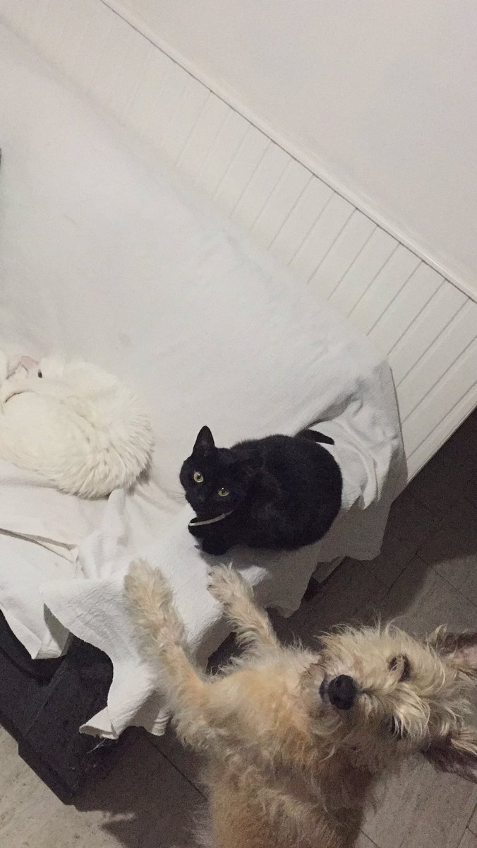 gonzalo (@gonzamartinez8_) on Twitter photo 