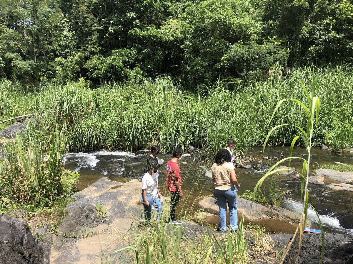 Ad Astra Academy tweet media