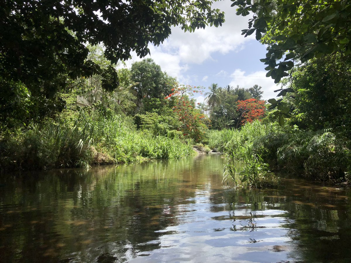 Ad Astra Academy tweet media