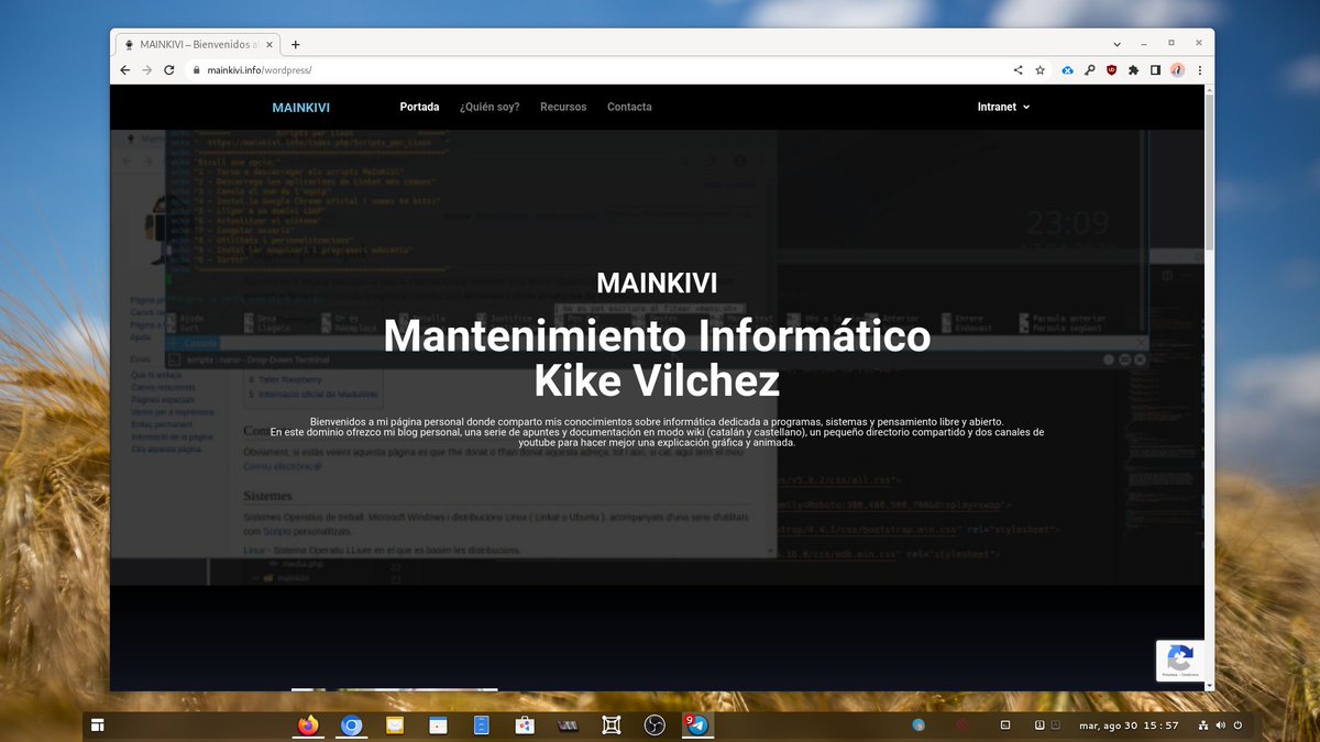 MaInKiVi tweet media