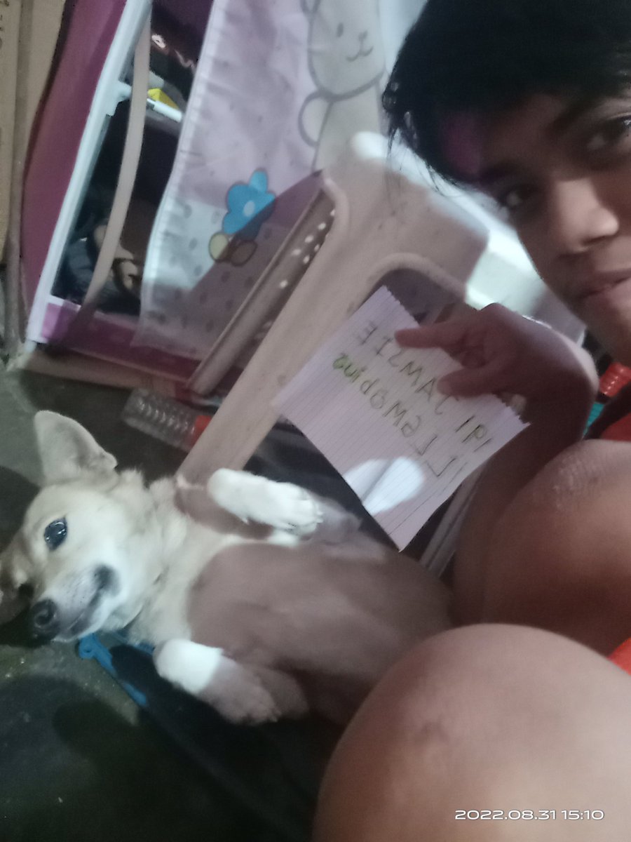 JamesMoga6's tweet photo. This is my dog shadow he is so playful
@LLGuild
#WeAreLimitLess #LLGMobius #LimitLessQuest #LLGLoveDoggo https://t.co/4bDNAnvcyA