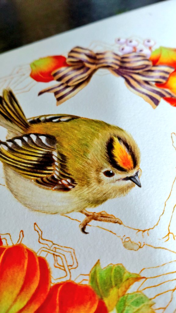 キクイタダキ のイラスト マンガ コスプレ モデル作品 41 件 Twoucan