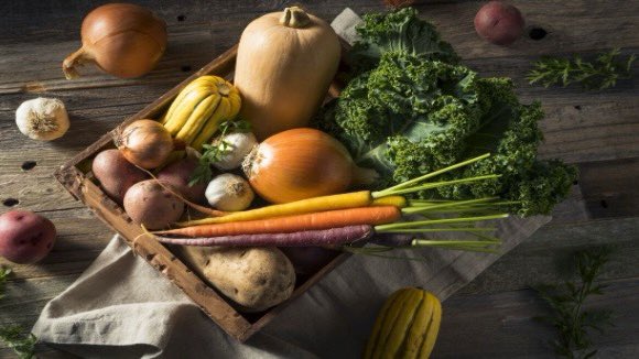 ORIGINVegetal's tweet image. Les légumes sont #fragiles … comment les #conserver… voici quelques conseils #antigaspi !!!
agriculture.gouv.fr/comment-bien-c…