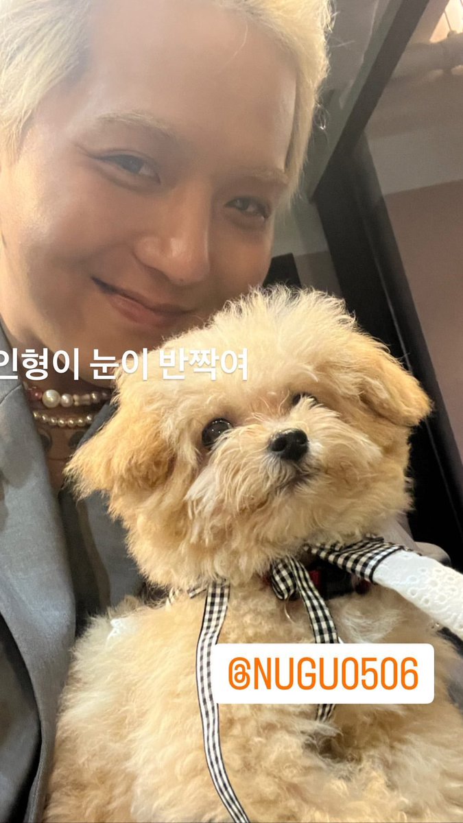 🐻 𝗛𝗼𝘂𝗿𝗹𝘆 𝗠𝗶𝗻𝗬𝗼𝗼𝗻 🦊 tweet media