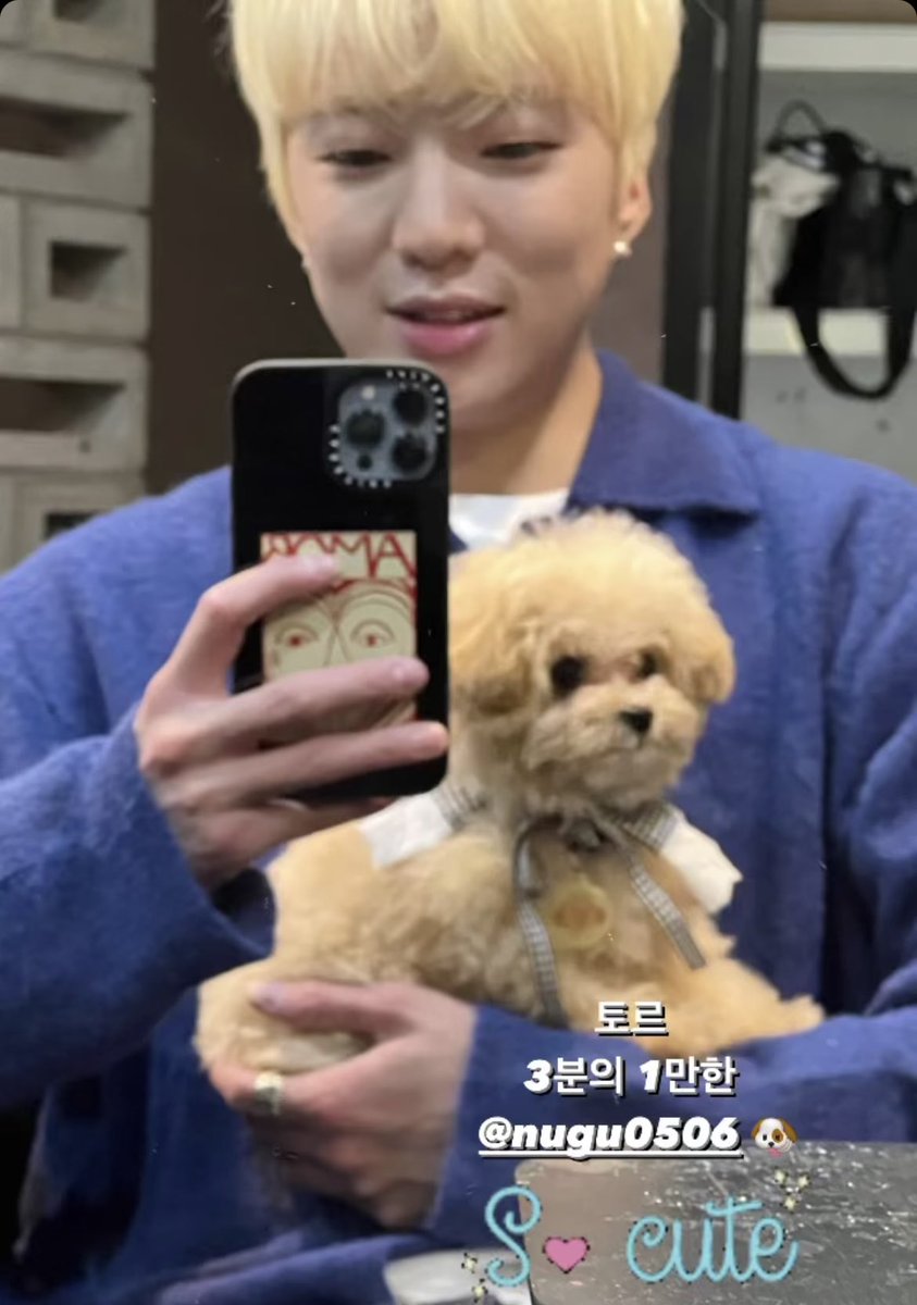 🐻 𝗛𝗼𝘂𝗿𝗹𝘆 𝗠𝗶𝗻𝗬𝗼𝗼𝗻 🦊 tweet media