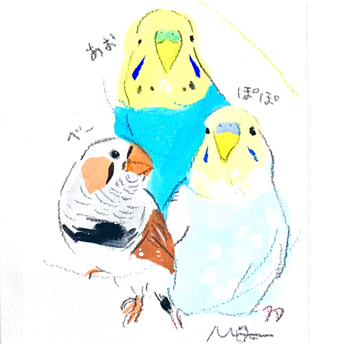続きましての #小鳥のアートフェスタ in横浜・オーダーイラストのご紹介は、セキセイインコさん&amp;キンカチョウさんトリオです 