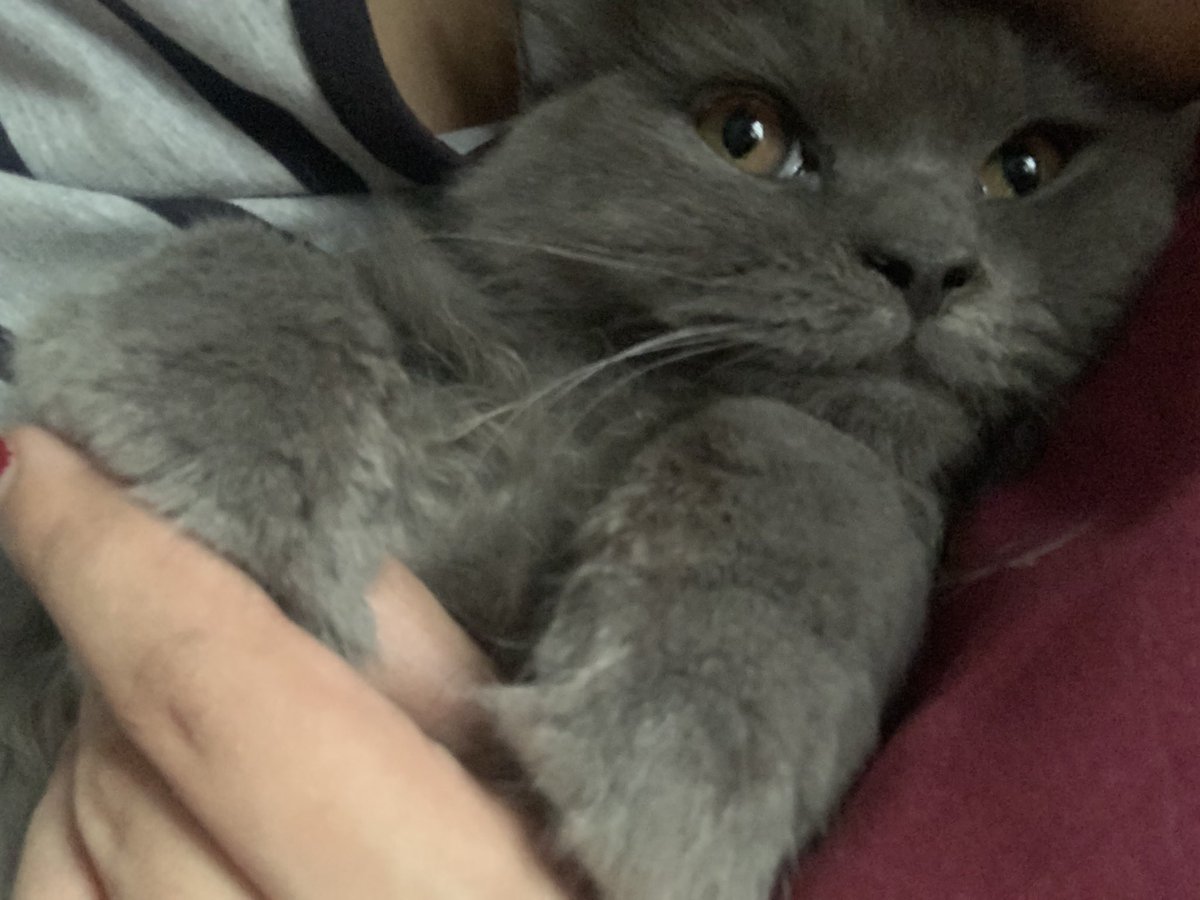 Pooja ♎️ tweet media