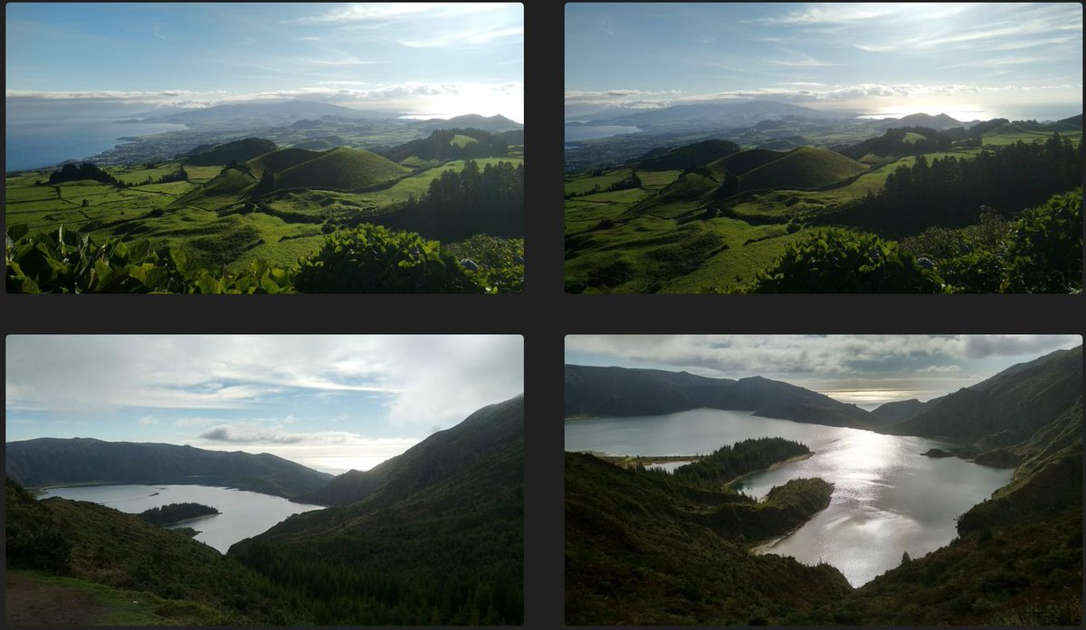 Miguel Machado tweet media