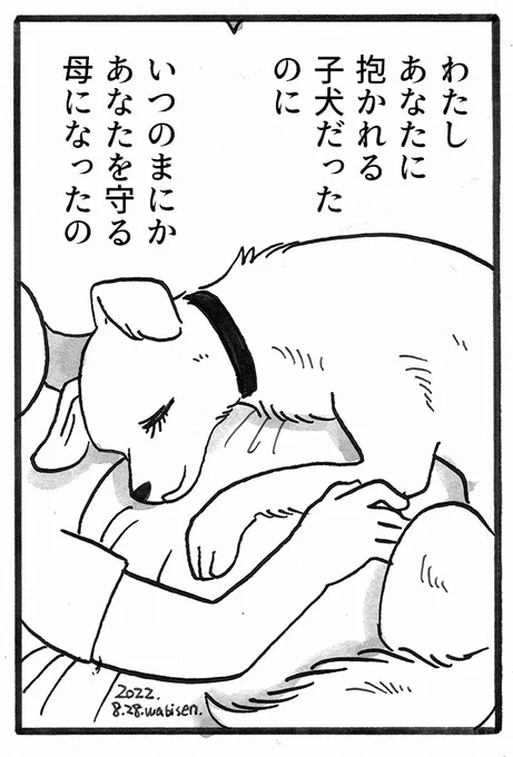 いつのまにか 