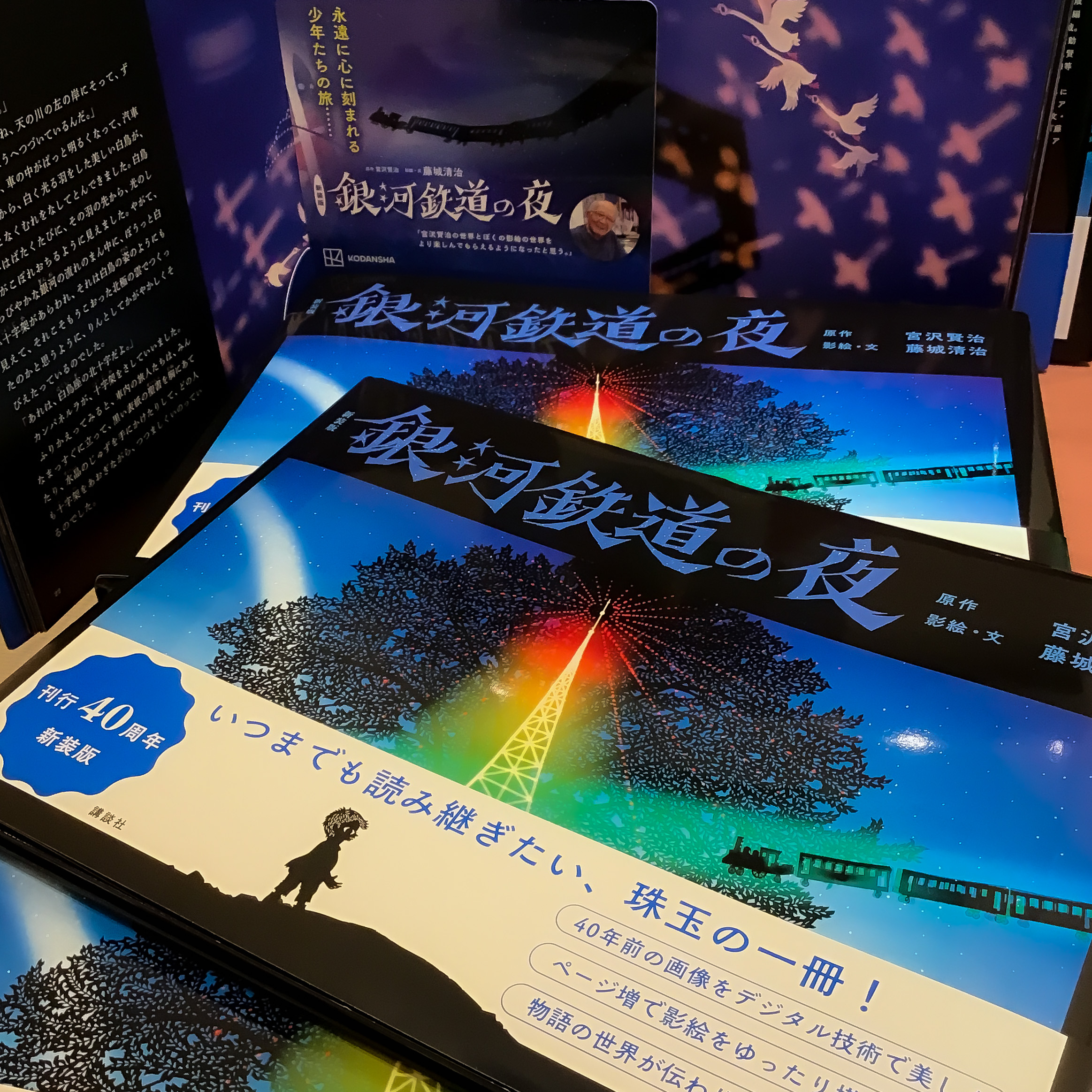 藤城清治 代表作☆生命賛歌 350枚限定の特大版画作品